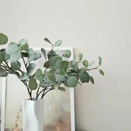 Active Premium 公寓